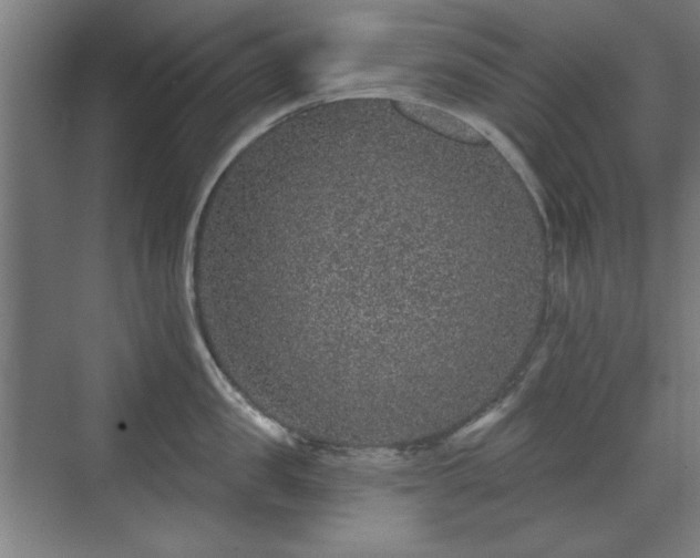 X0000071340957200606261312