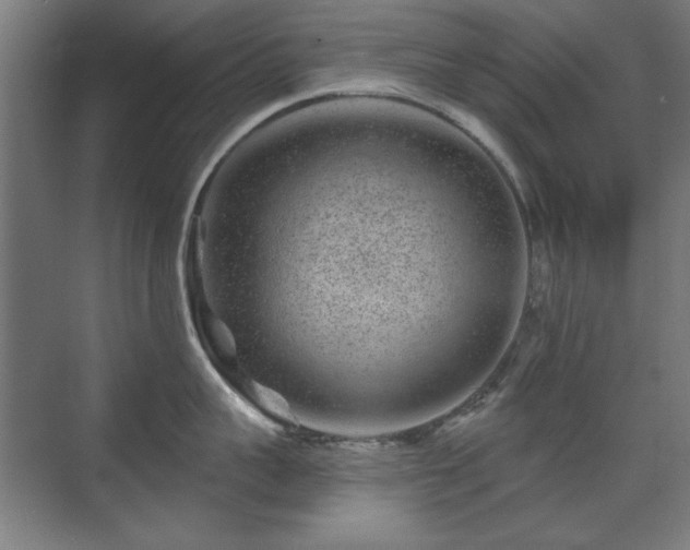 X0000071340959200606261312