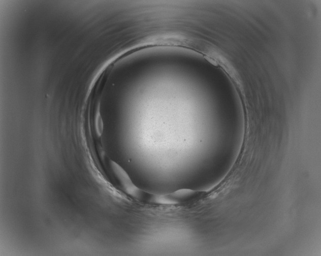 X0000071340960200606261312