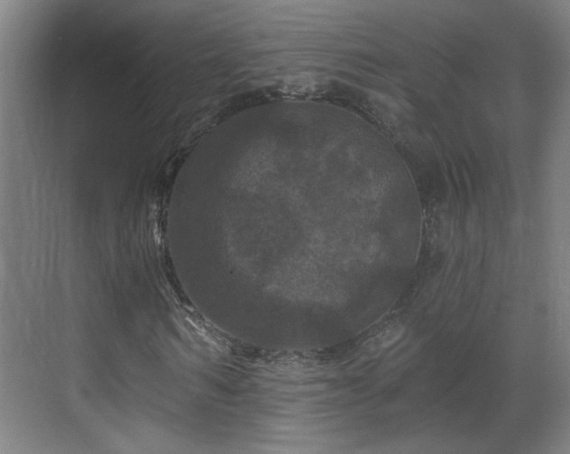 X0000071340962200606261311