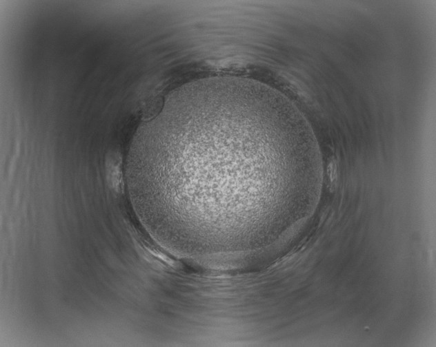 X0000071340963200606261311