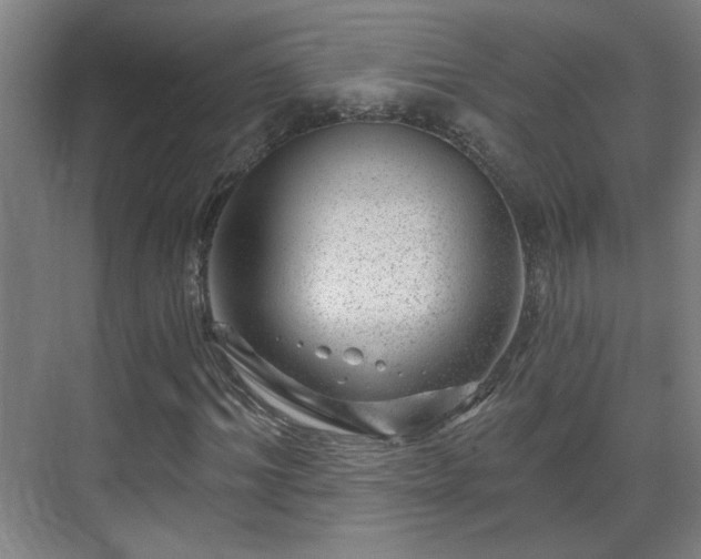 X0000071340964200606261311