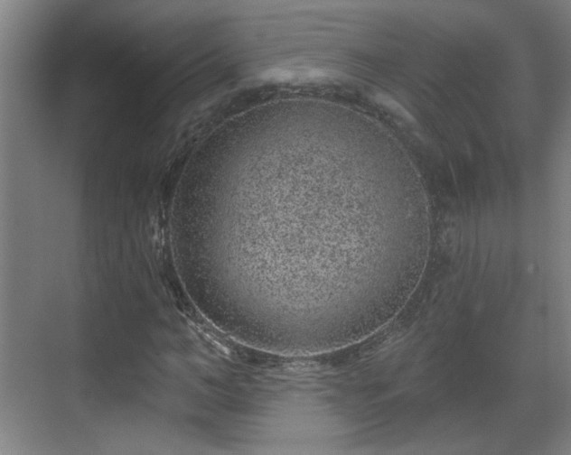 X0000071340966200606261311