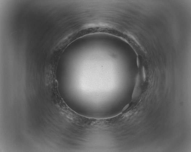 X0000071340967200606261311