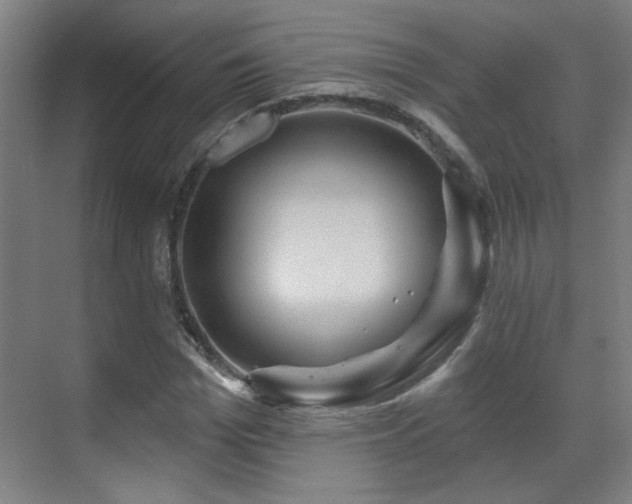 X0000071340969200606261311