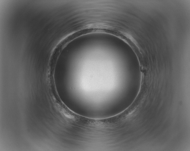 X0000071340971200606261311