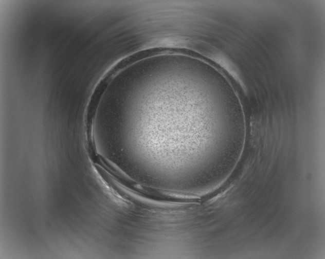 X0000071340972200606261311