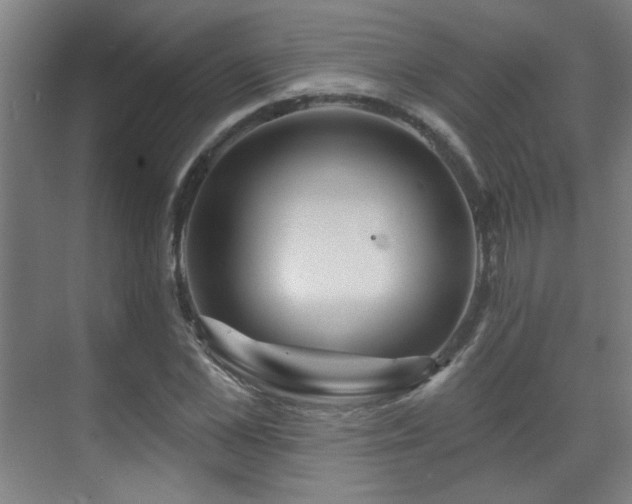 X0000071340973200606261311