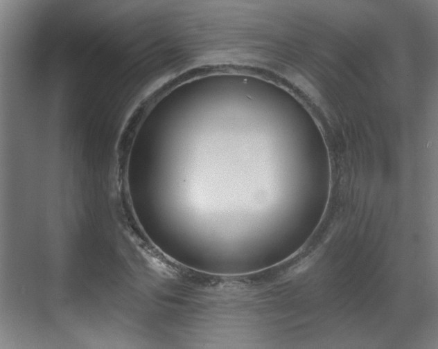 X0000071340974200606261311