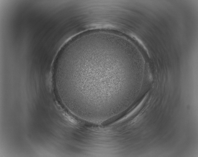 X0000071340975200606261311