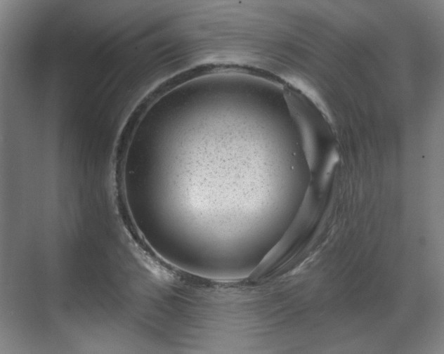 X0000071340976200606261311