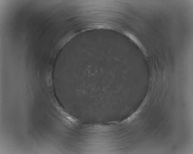 X0000071340977200606261311