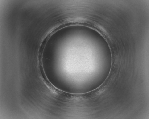 X0000071340978200606261311