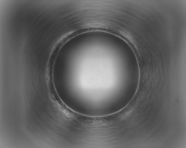 X0000071340979200606261311