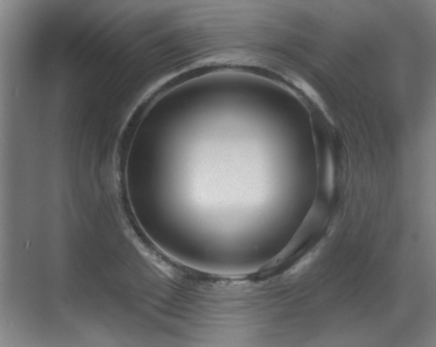 X0000071340981200606261311