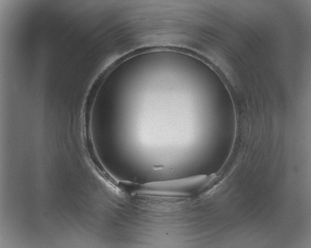 X0000071340982200606261311