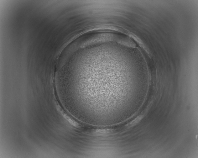 X0000071340985200606261311