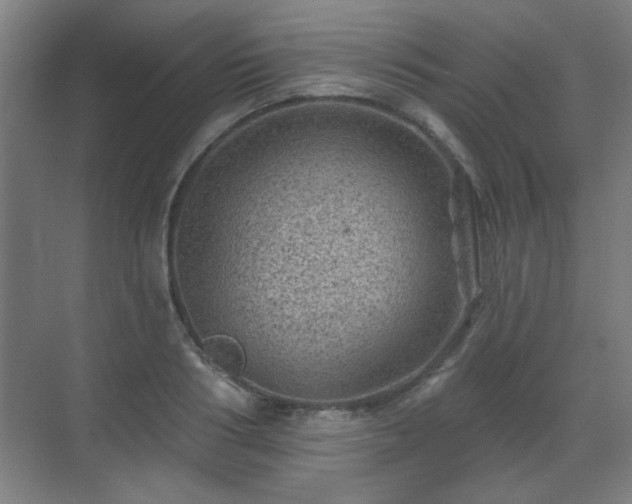 X0000071340986200606261311