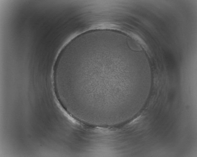 X0000071340990200606261311