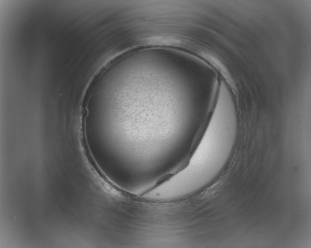 X0000071340992200606261311