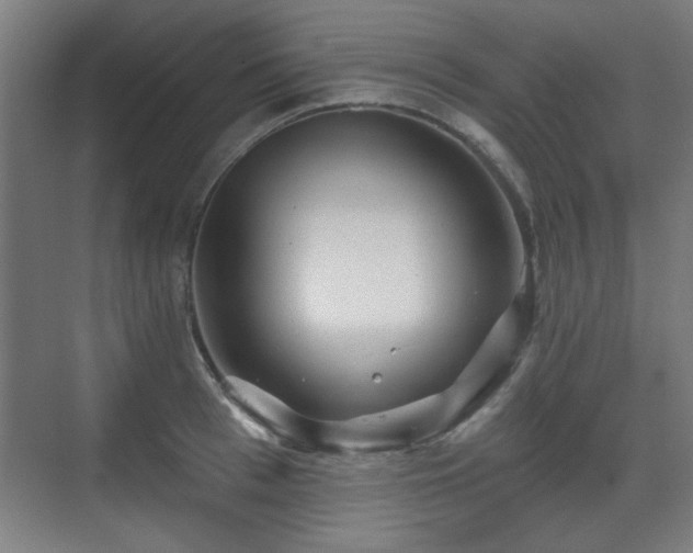 X0000071340993200606261311