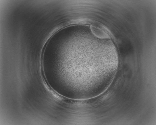 X0000071340994200606261311