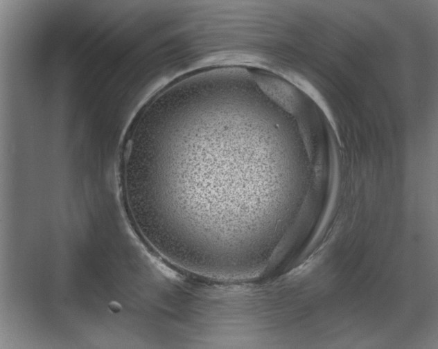 X0000071340997200606261311