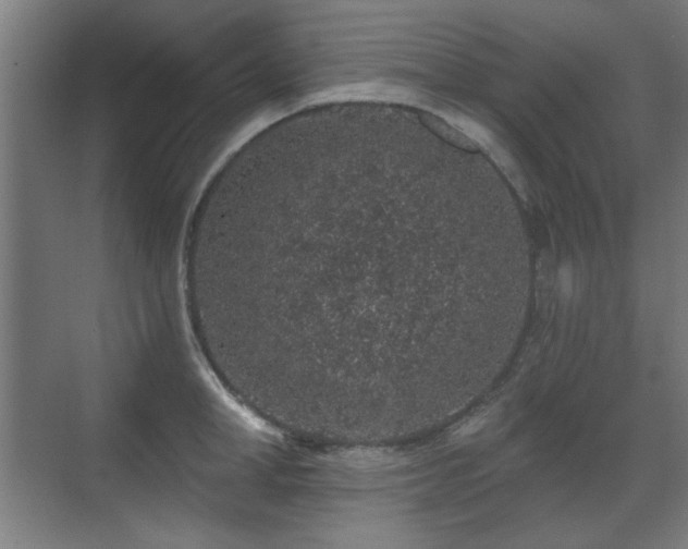 X0000071340998200606261311