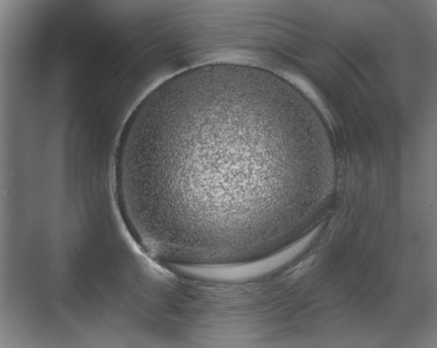 X0000071340999200606261311