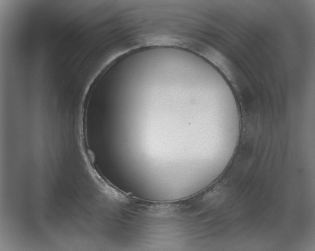 X0000071341000200606261311