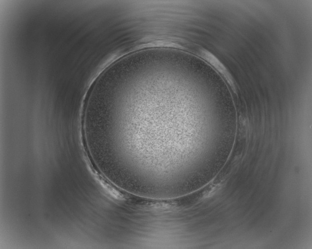 X0000071341002200606261311