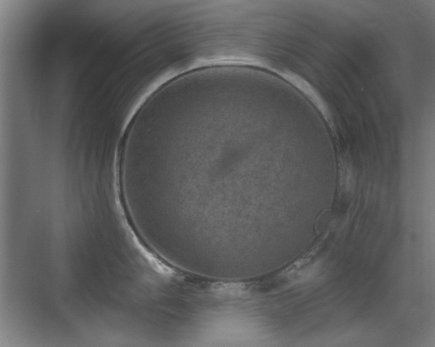 X0000071341006200606261311