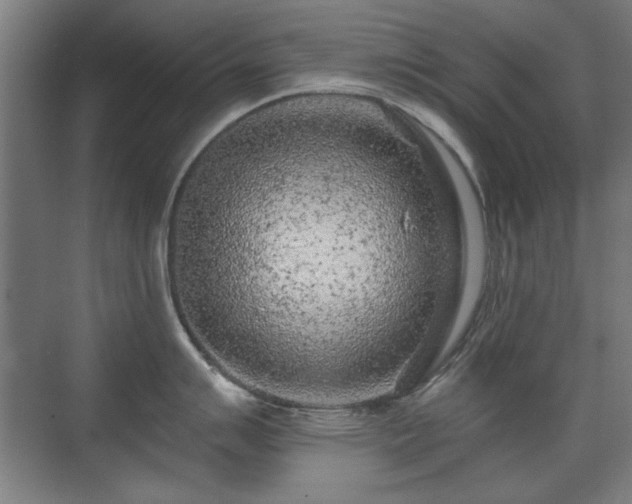 X0000071341007200606261311