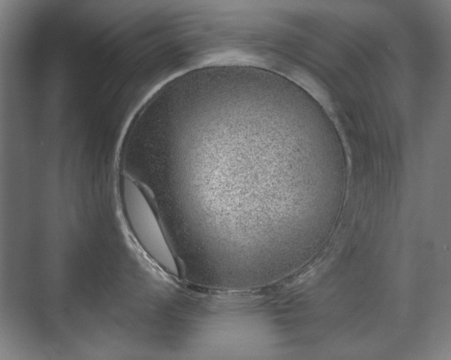 X0000071341008200606261311