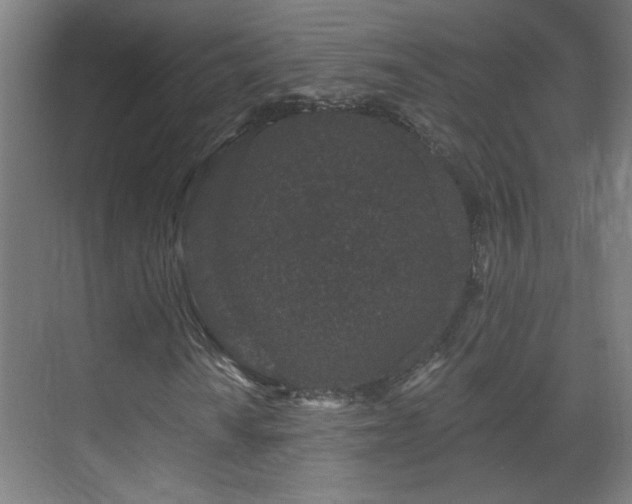 X0000071341010200606261310