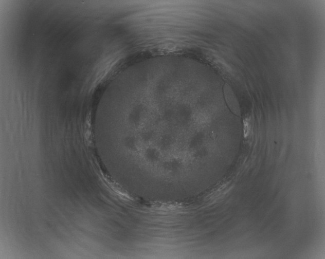 X0000071341011200606261310