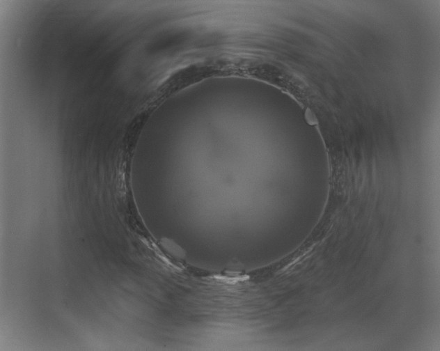 X0000071341013200606261310