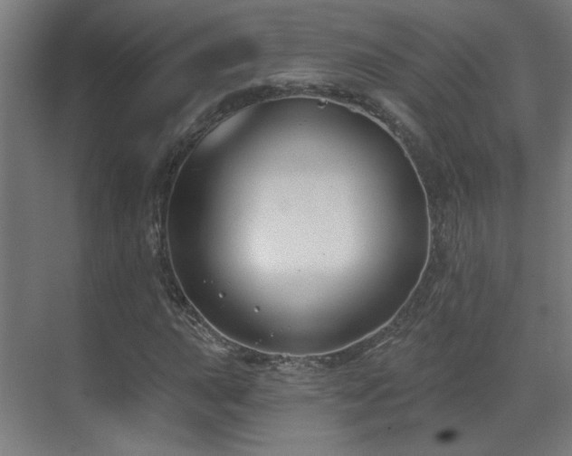 X0000071341015200606261310