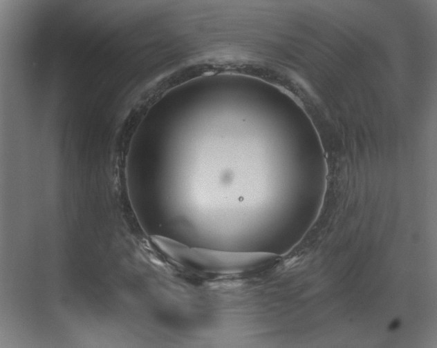 X0000071341016200606261310