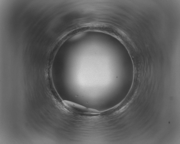 X0000071341017200606261310