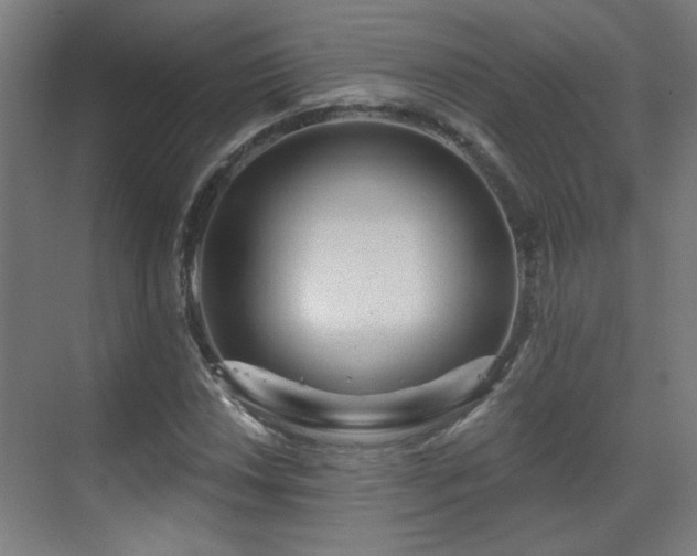 X0000071341018200606261310