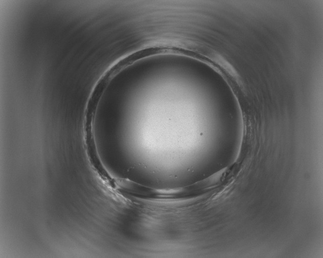 X0000071341020200606261310