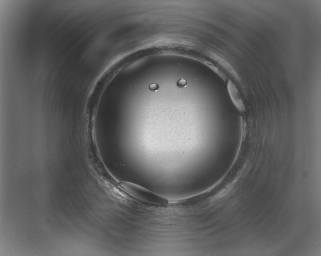 X0000071341021200606261310