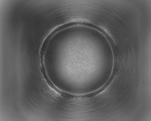 X0000071341022200606261310