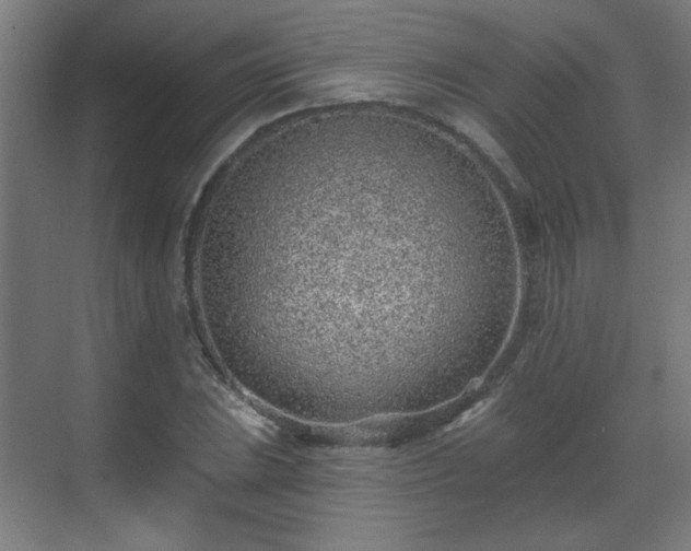 X0000071341023200606261310