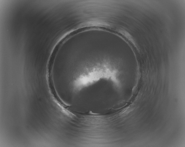 X0000071341024200606261310