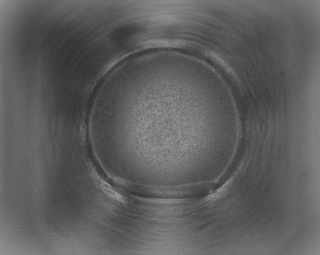 X0000071341025200606261310