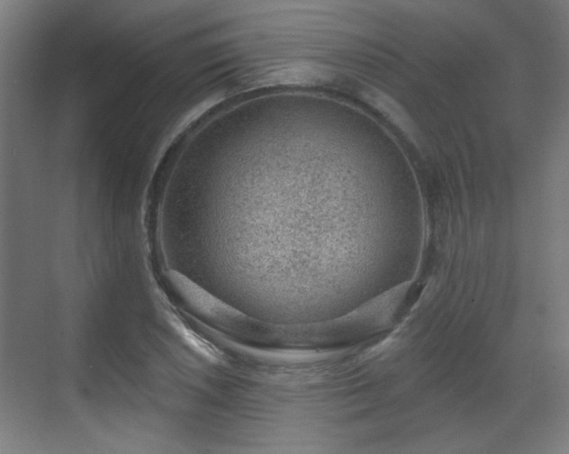 X0000071341026200606261310