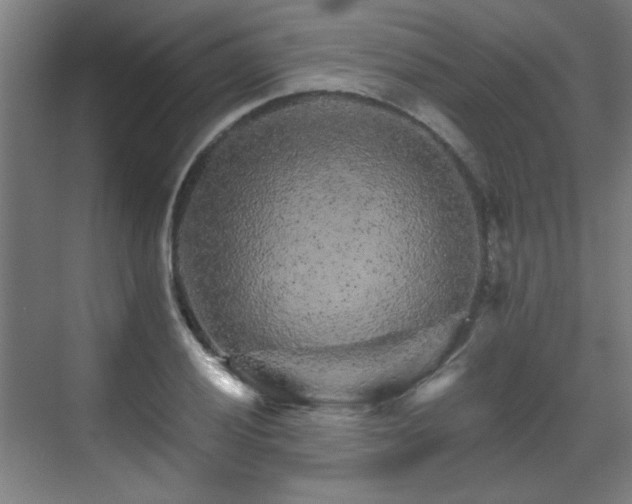 X0000071341028200606261310