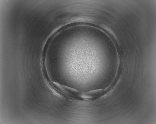 X0000071341029200606261310